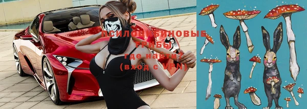 винт Богородицк