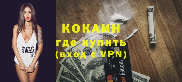 гидра Бородино